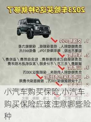 小汽車購買保險(xiǎn),小汽車購買保險(xiǎn)應(yīng)該注意哪些險(xiǎn)種