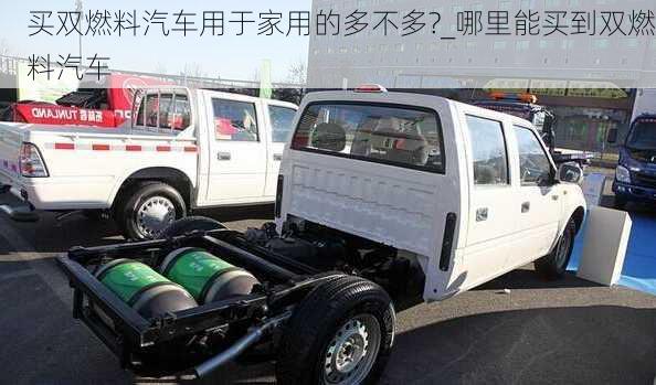 買雙燃料汽車用于家用的多不多?_哪里能買到雙燃料汽車