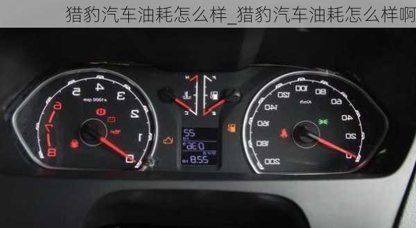 獵豹汽車油耗怎么樣_獵豹汽車油耗怎么樣啊