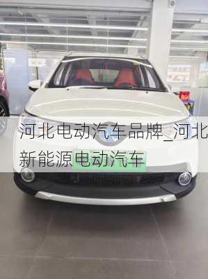 河北電動(dòng)汽車品牌_河北新能源電動(dòng)汽車