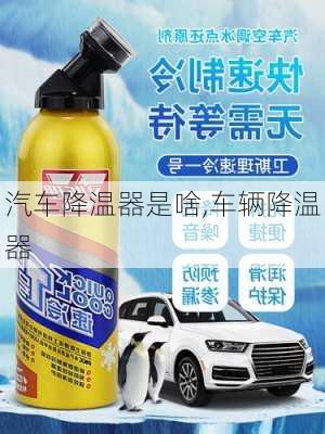 汽車(chē)降溫器是啥,車(chē)輛降溫器