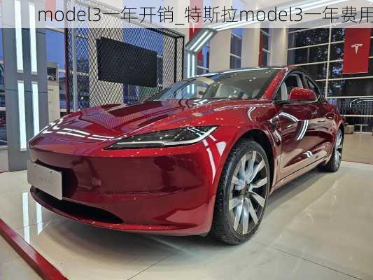 model3一年開銷_特斯拉model3一年費(fèi)用