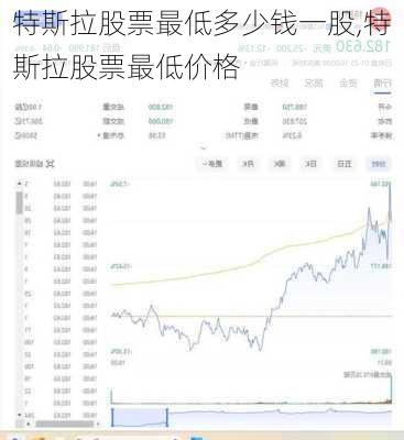 特斯拉股票最低多少錢一股,特斯拉股票最低價格