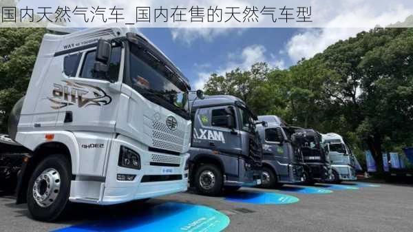 國內(nèi)天然氣汽車_國內(nèi)在售的天然氣車型