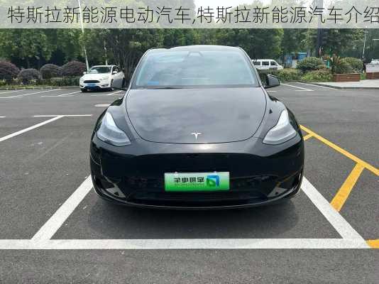 特斯拉新能源電動汽車,特斯拉新能源汽車介紹