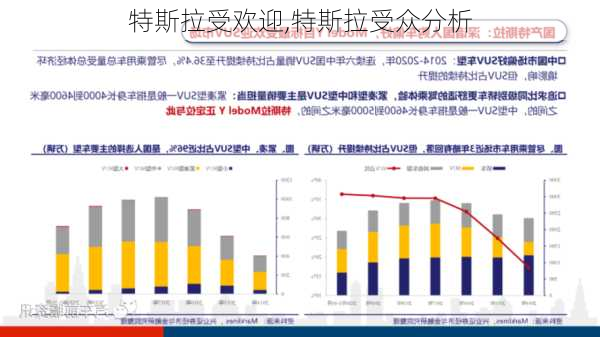 特斯拉受歡迎,特斯拉受眾分析