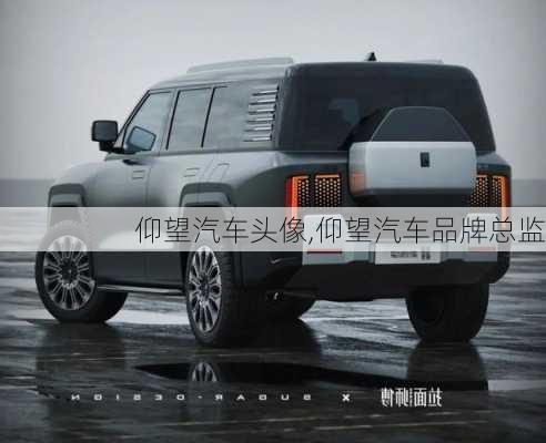 仰望汽車頭像,仰望汽車品牌總監(jiān)