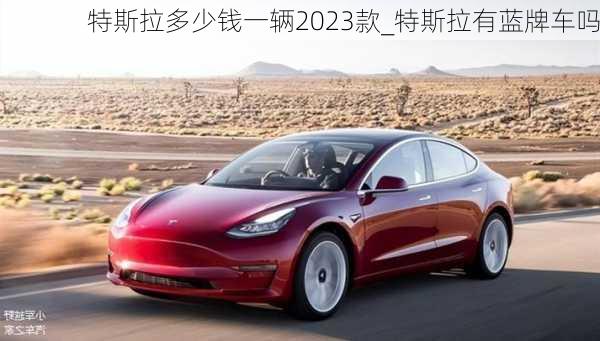 特斯拉多少錢一輛2023款_特斯拉有藍(lán)牌車嗎