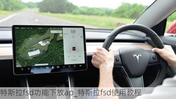 特斯拉fsd功能下放ap_特斯拉fsd使用教程