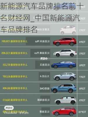 新能源汽車品牌排名前十名財經(jīng)網(wǎng)_中國新能源汽車品牌排名