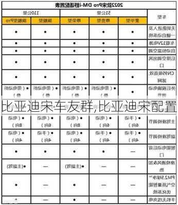 比亞迪宋車(chē)友群,比亞迪宋配置