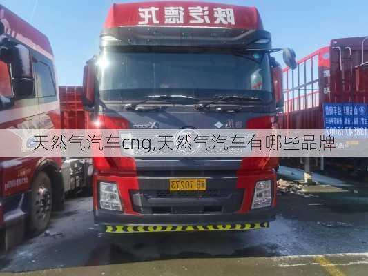 天然氣汽車cng,天然氣汽車有哪些品牌