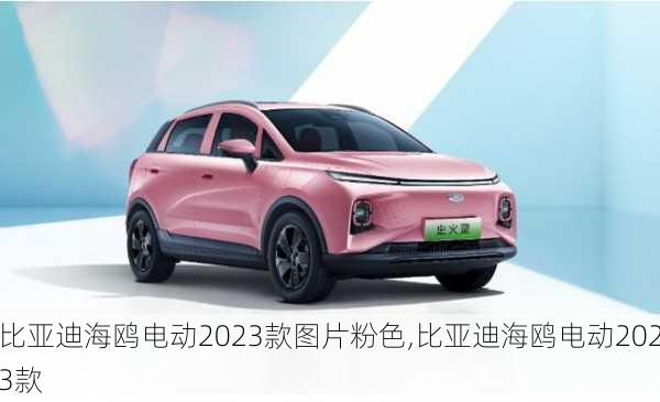 比亞迪海鷗電動(dòng)2023款圖片粉色,比亞迪海鷗電動(dòng)2023款