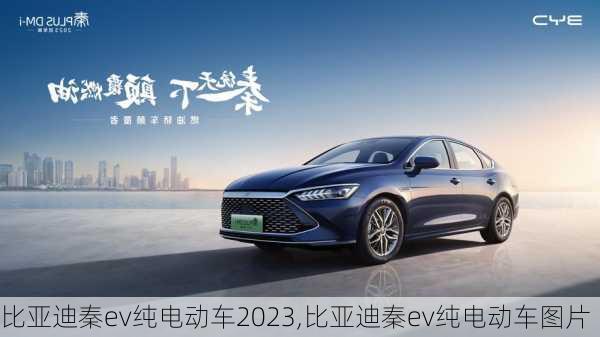 比亞迪秦ev純電動車2023,比亞迪秦ev純電動車圖片