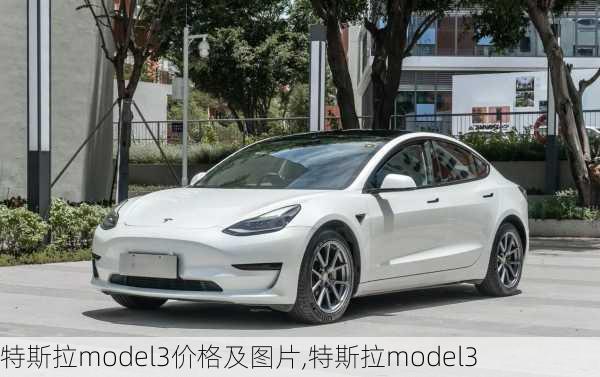 特斯拉model3價格及圖片,特斯拉model3