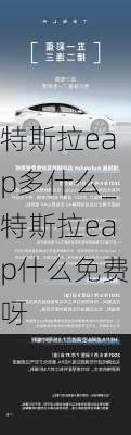 特斯拉eap多什么_特斯拉eap什么免費(fèi)呀