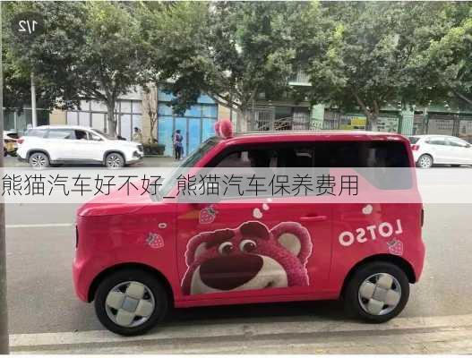 熊貓汽車好不好_熊貓汽車保養(yǎng)費用