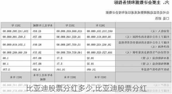 比亞迪股票分紅多少,比亞迪股票分紅