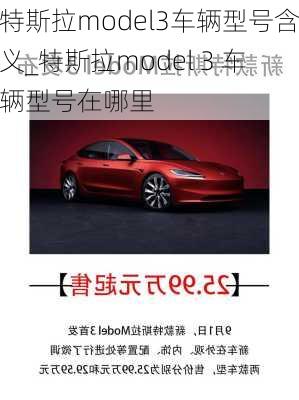 特斯拉model3車輛型號含義_特斯拉model 3 車輛型號在哪里