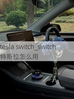 tesla switch_switch特斯拉怎么用