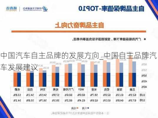 中國汽車自主品牌的發(fā)展方向_中國自主品牌汽車發(fā)展建議