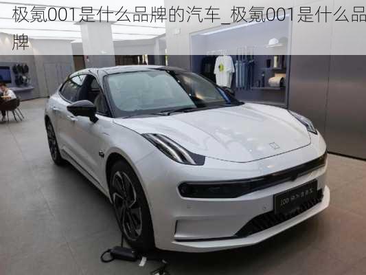 極氪001是什么品牌的汽車_極氪001是什么品牌