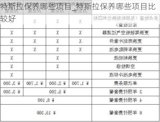 特斯拉保養(yǎng)哪些項目_特斯拉保養(yǎng)哪些項目比較好