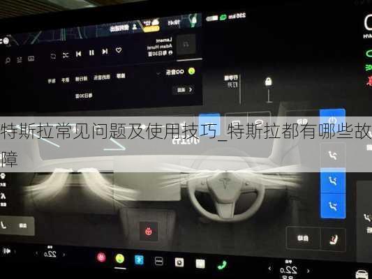 特斯拉常見(jiàn)問(wèn)題及使用技巧_特斯拉都有哪些故障