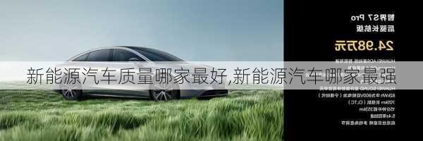 新能源汽車質(zhì)量哪家最好,新能源汽車哪家最強(qiáng)