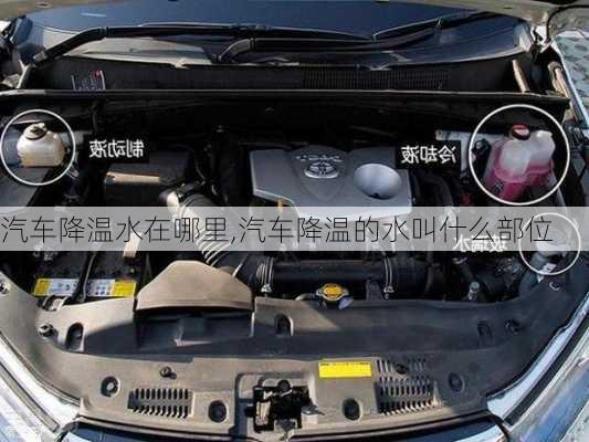 汽車降溫水在哪里,汽車降溫的水叫什么部位