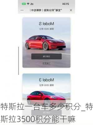 特斯拉一臺(tái)車多少積分_特斯拉3500積分能干嘛