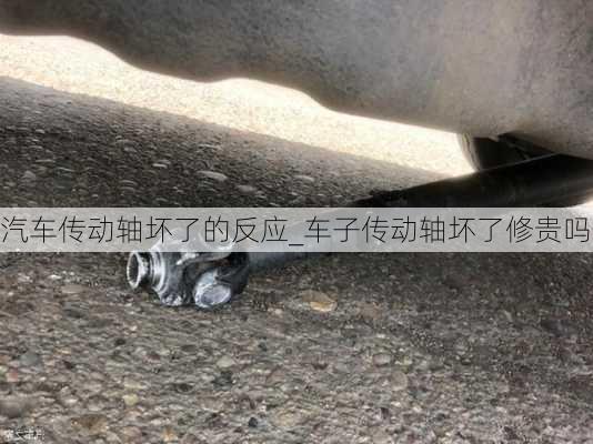 汽車傳動軸壞了的反應_車子傳動軸壞了修貴嗎