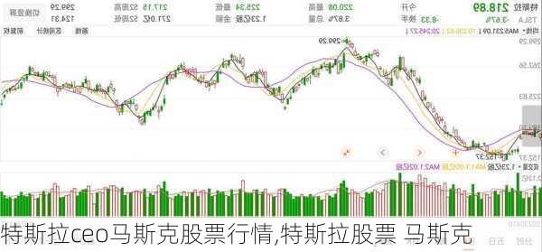 特斯拉ceo馬斯克股票行情,特斯拉股票 馬斯克