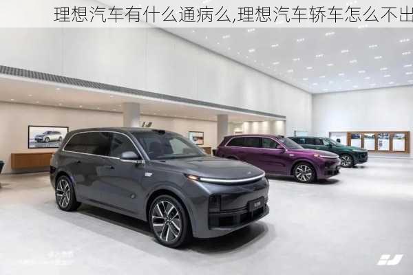 理想汽車(chē)有什么通病么,理想汽車(chē)轎車(chē)怎么不出