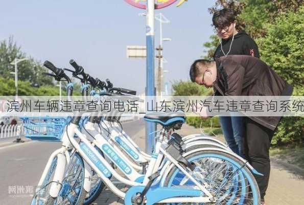 濱州車輛違章查詢電話_山東濱州汽車違章查詢系統(tǒng)