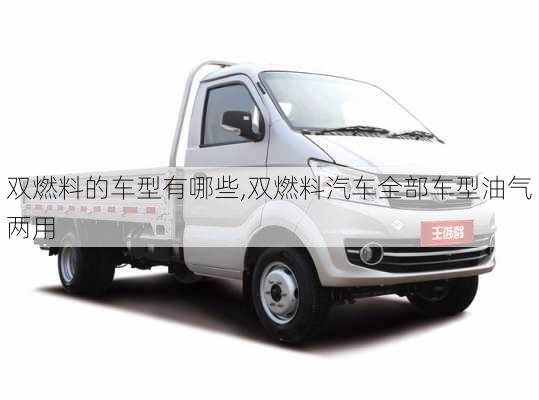 雙燃料的車型有哪些,雙燃料汽車全部車型油氣兩用