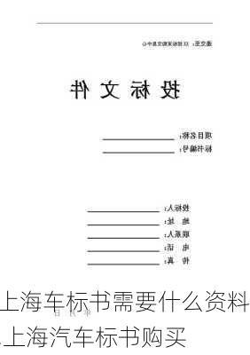 上海車標(biāo)書需要什么資料,上海汽車標(biāo)書購(gòu)買