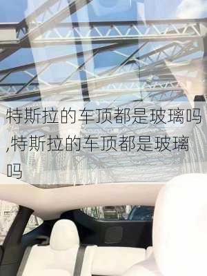 特斯拉的車頂都是玻璃嗎,特斯拉的車頂都是玻璃嗎