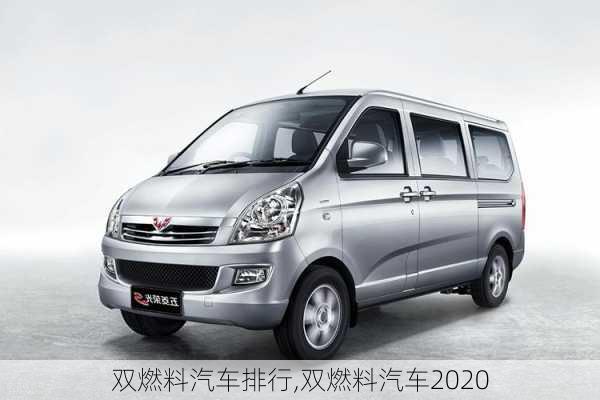 雙燃料汽車排行,雙燃料汽車2020