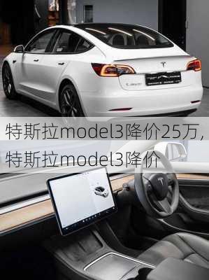 特斯拉model3降價25萬,特斯拉model3降價