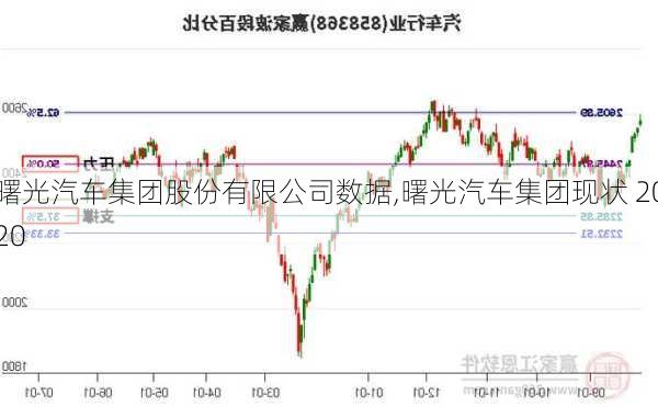 曙光汽車集團股份有限公司數(shù)據(jù),曙光汽車集團現(xiàn)狀 2020