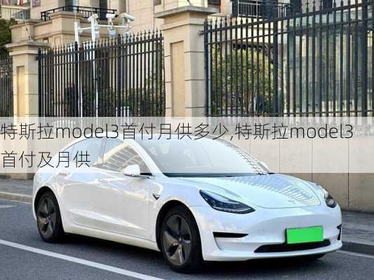 特斯拉model3首付月供多少,特斯拉model3首付及月供