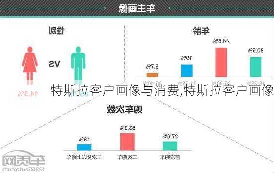 特斯拉客戶畫(huà)像與消費(fèi),特斯拉客戶畫(huà)像