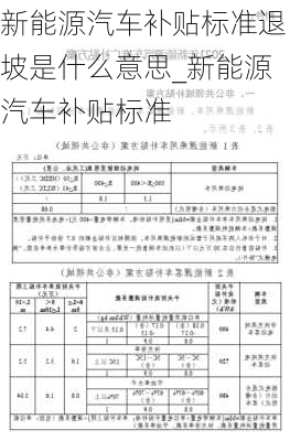 新能源汽車補貼標(biāo)準(zhǔn)退坡是什么意思_新能源汽車補貼標(biāo)準(zhǔn)