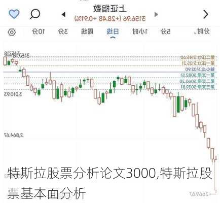 特斯拉股票分析論文3000,特斯拉股票基本面分析