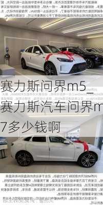 賽力斯問界m5_賽力斯汽車問界m7多少錢啊