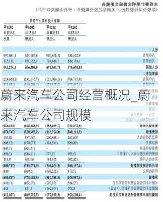 蔚來汽車公司經(jīng)營概況_蔚來汽車公司規(guī)模