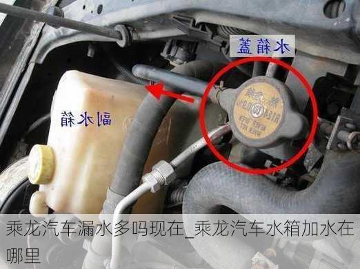 乘龍汽車漏水多嗎現(xiàn)在_乘龍汽車水箱加水在哪里