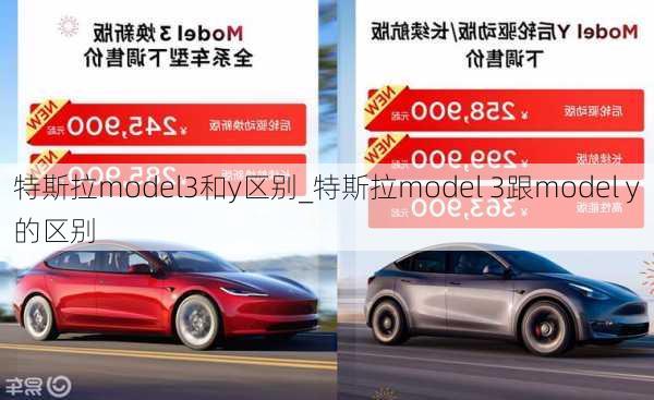 特斯拉model3和y區(qū)別_特斯拉model 3跟model y的區(qū)別