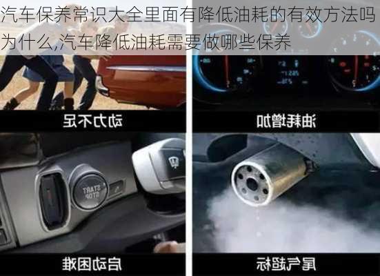 汽車保養(yǎng)常識大全里面有降低油耗的有效方法嗎為什么,汽車降低油耗需要做哪些保養(yǎng)